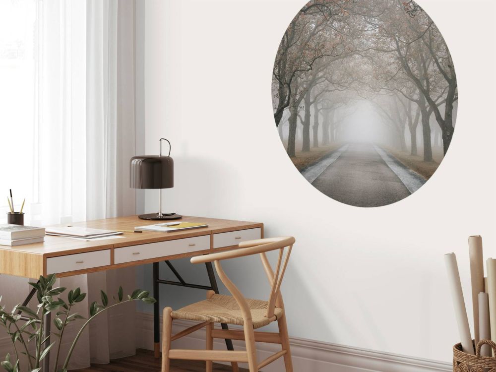 Weg met oude bomen