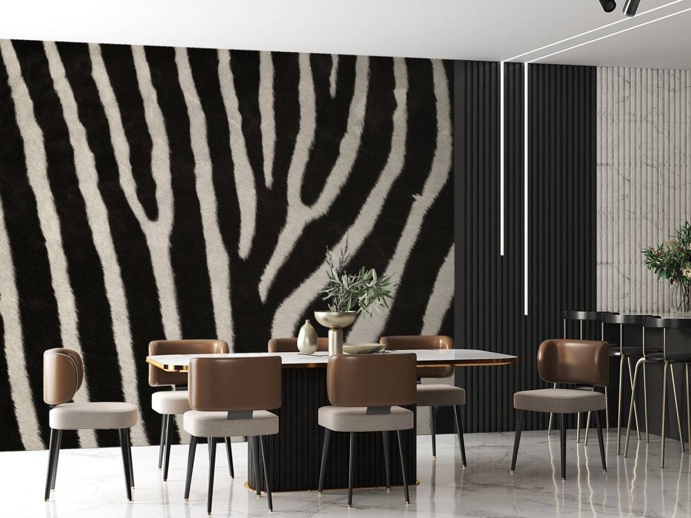 Zebra vacht