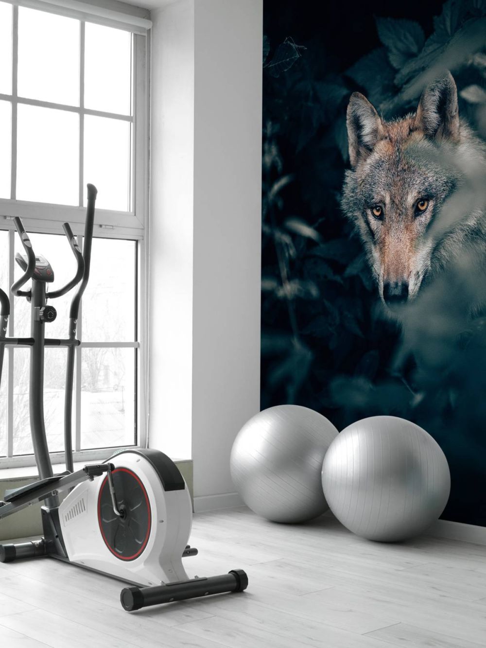 Close-up wolf