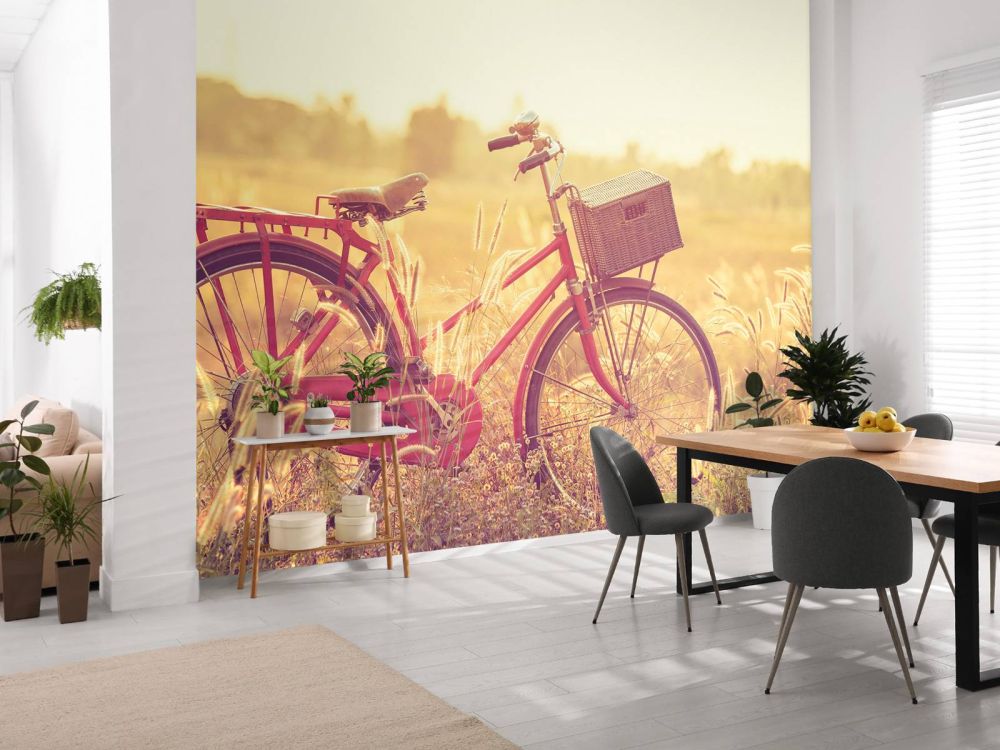 Vintage fiets