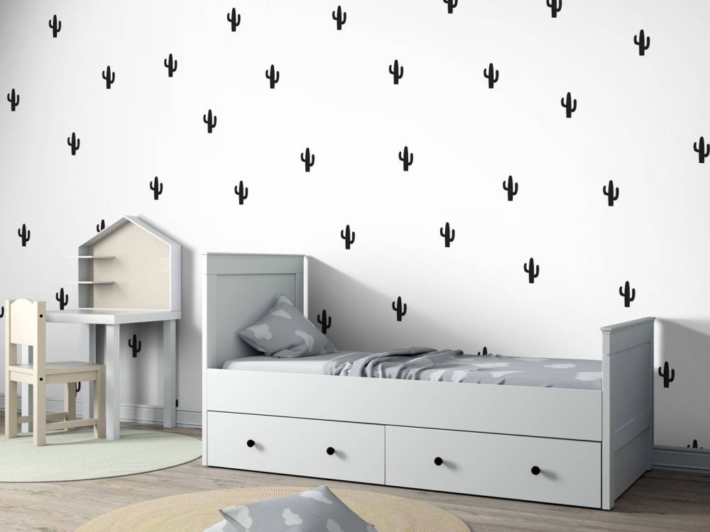 Cactussen in zwart-wit