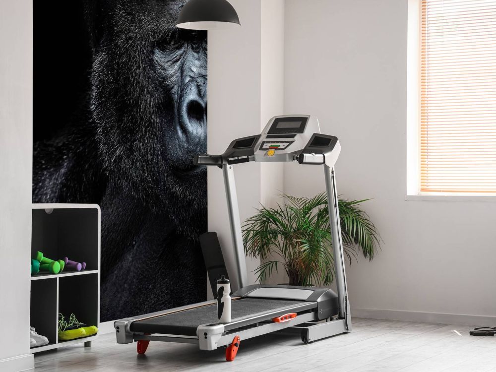 Gorilla