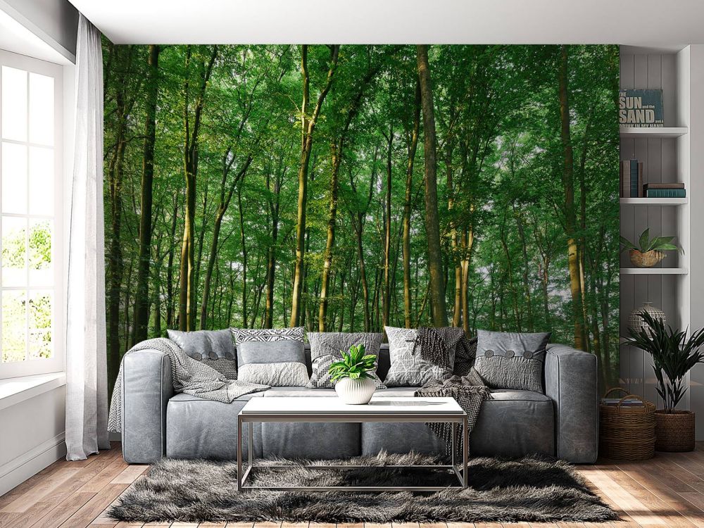 Groen bos 