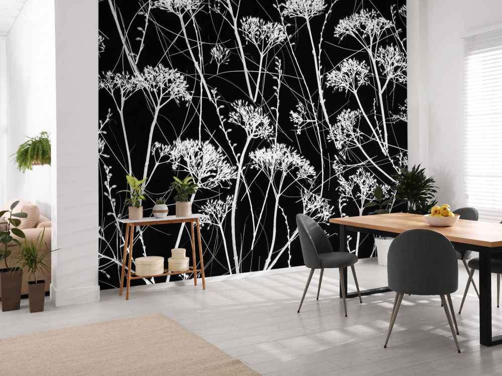 Silhouet van gedroogde planten