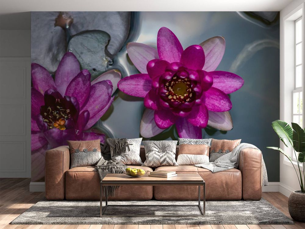Roze lotusbloem in het water