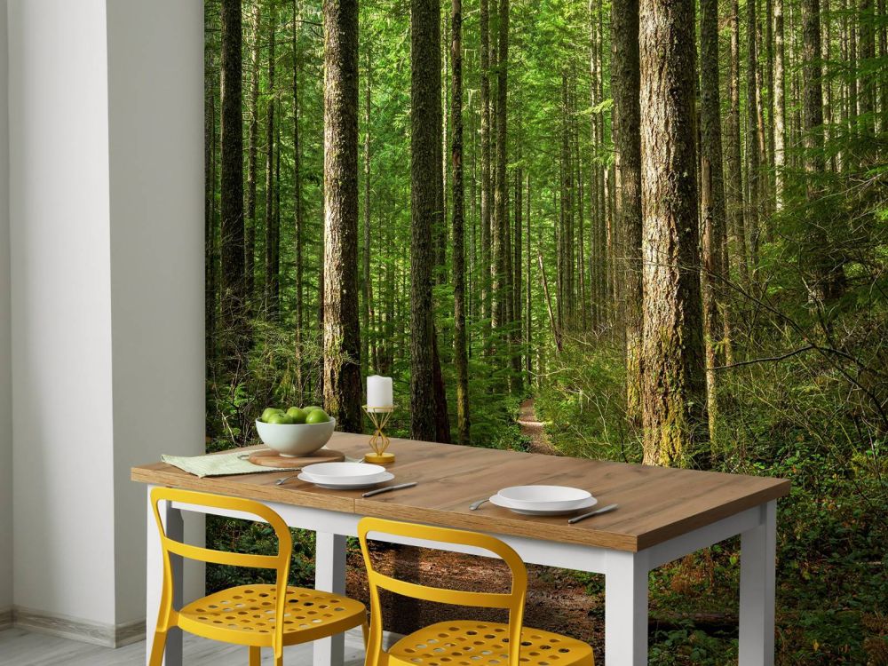Pad in het bos