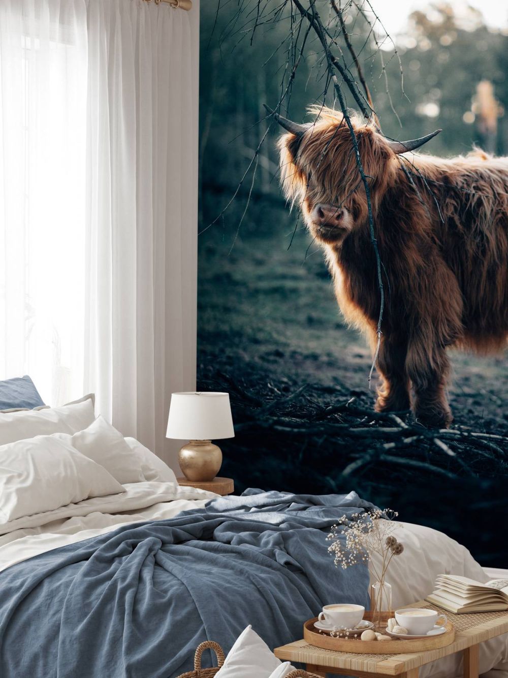 Schotse hooglander aan de bosrand