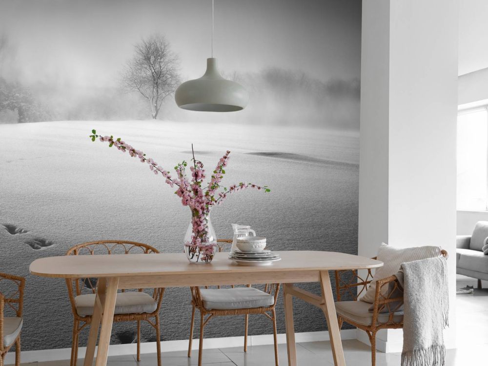 Winter scenery