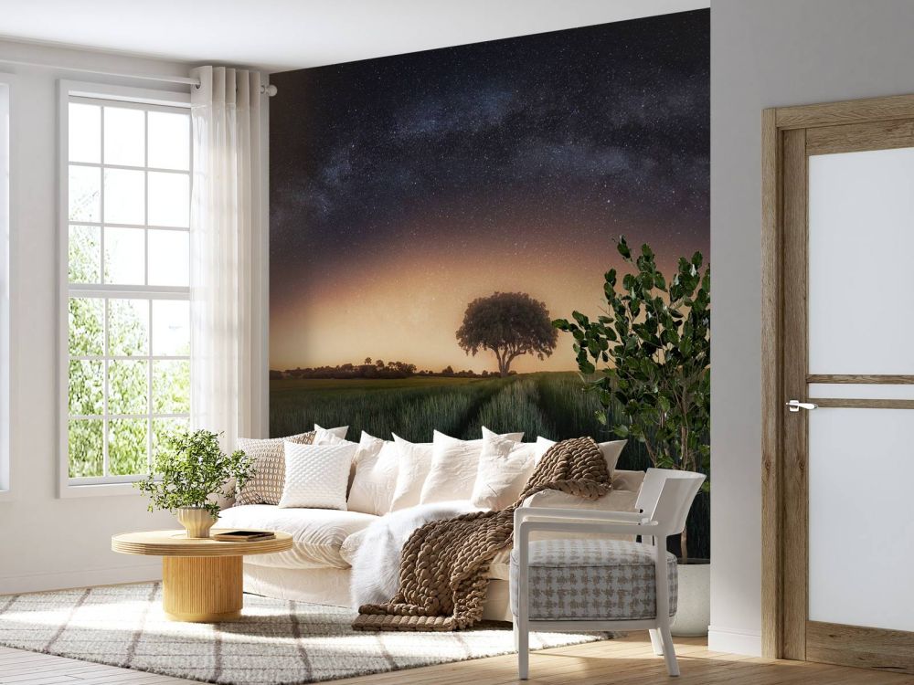 Milky way over lonely tree