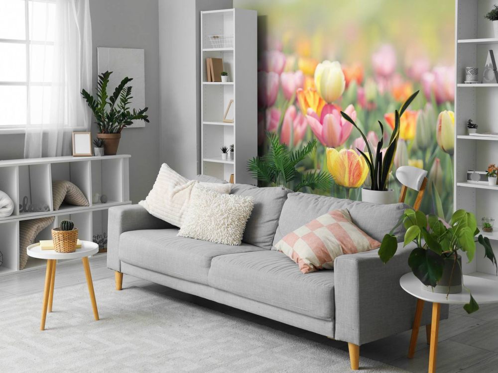Kleurrijke tulpen