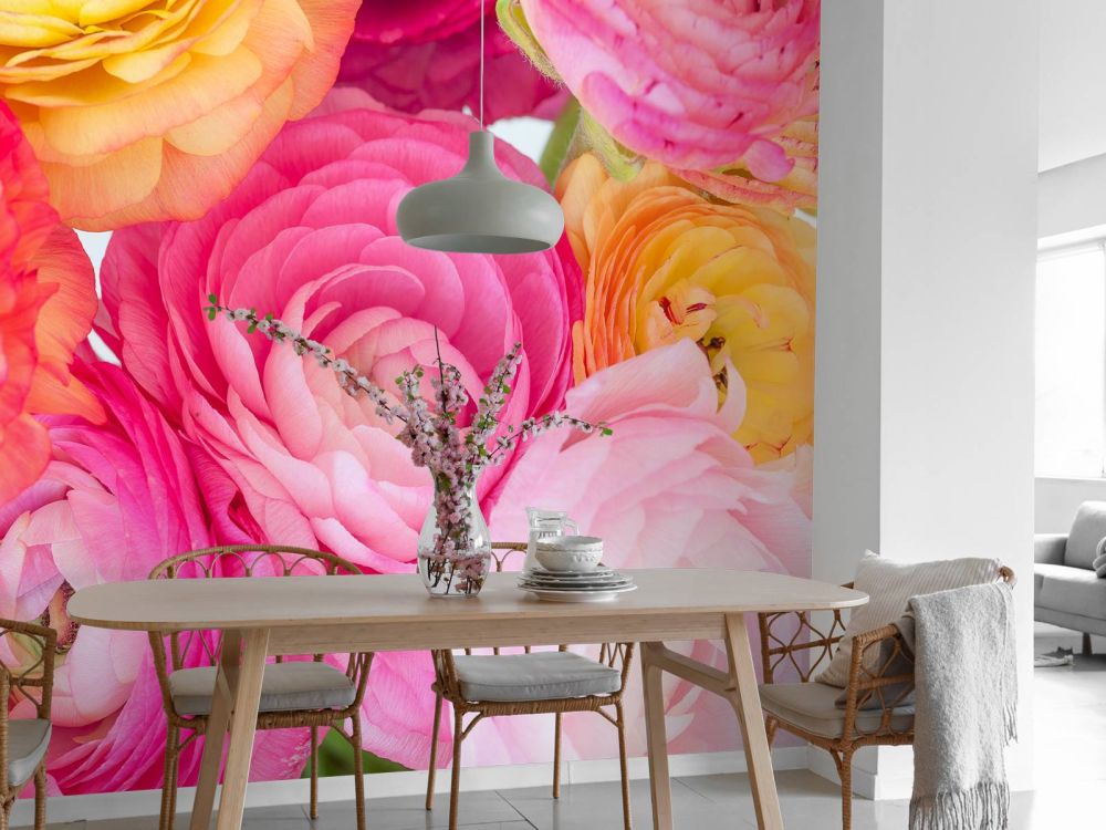 Ranunculus