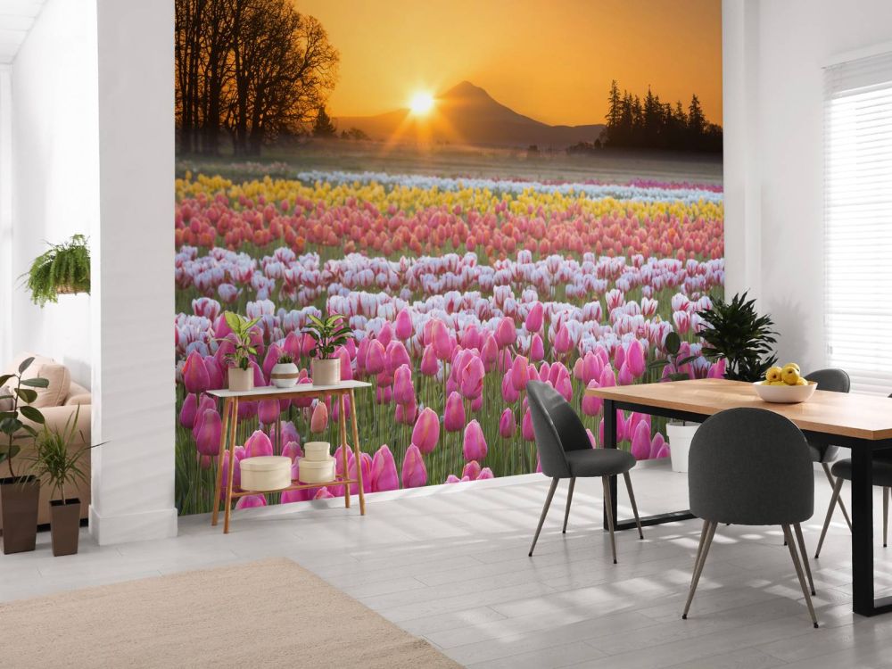 Kleurrijke tulpenveld