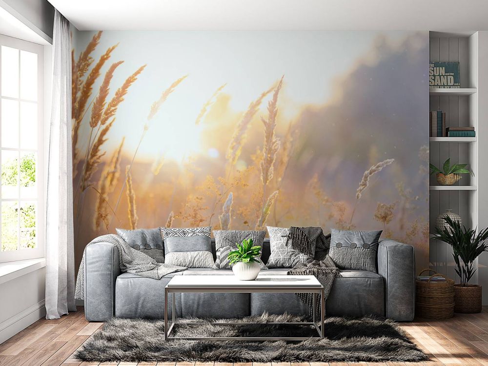 Zonnig veld