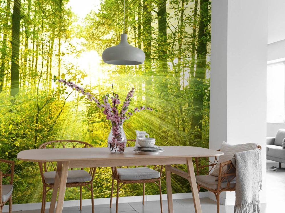 Zonnestralen in een groen bos