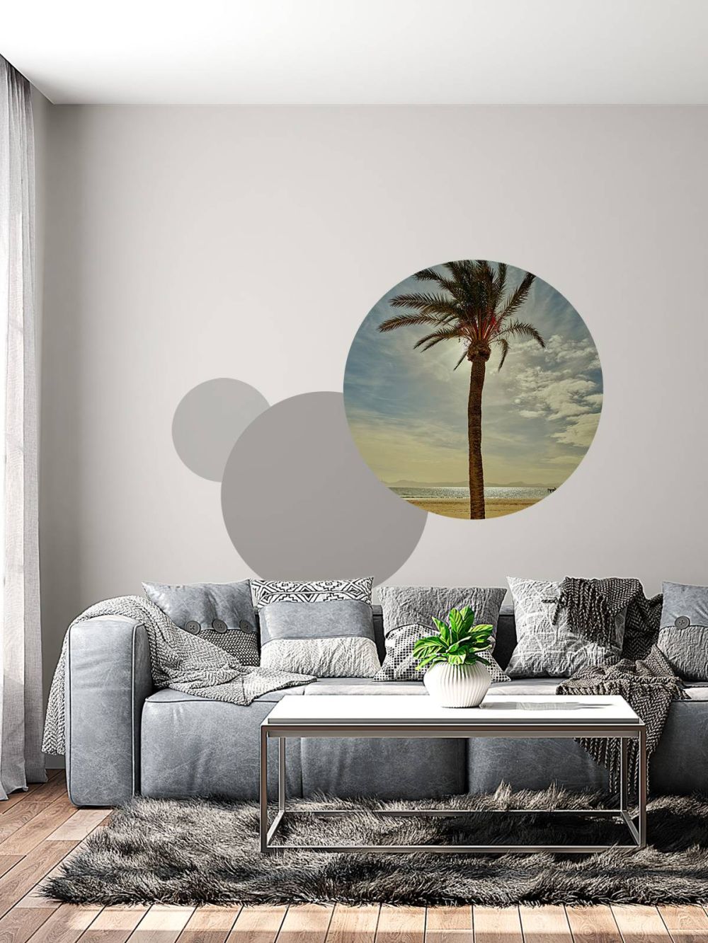 Palmboom in de zon