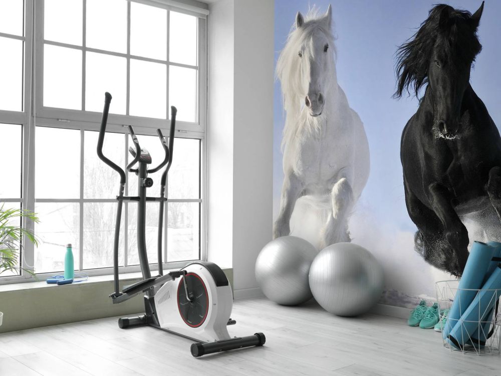 Wit en een zwart paard