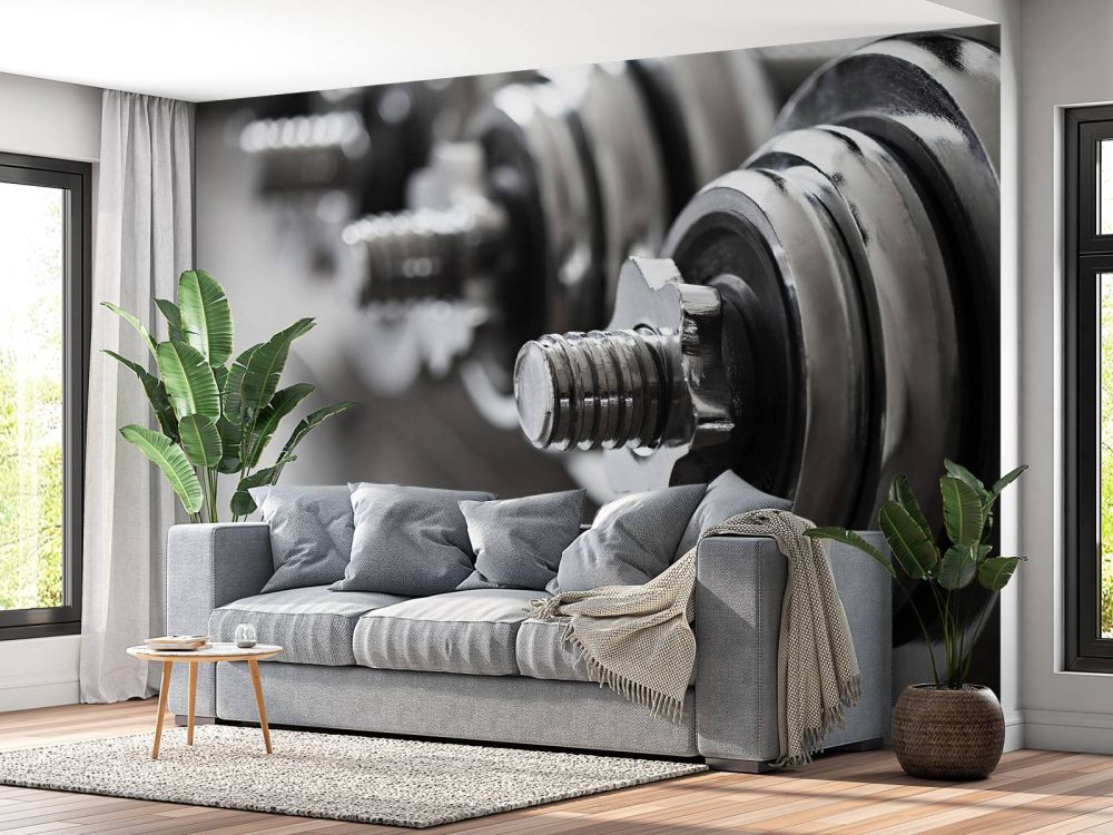 Klassieke dumbells 