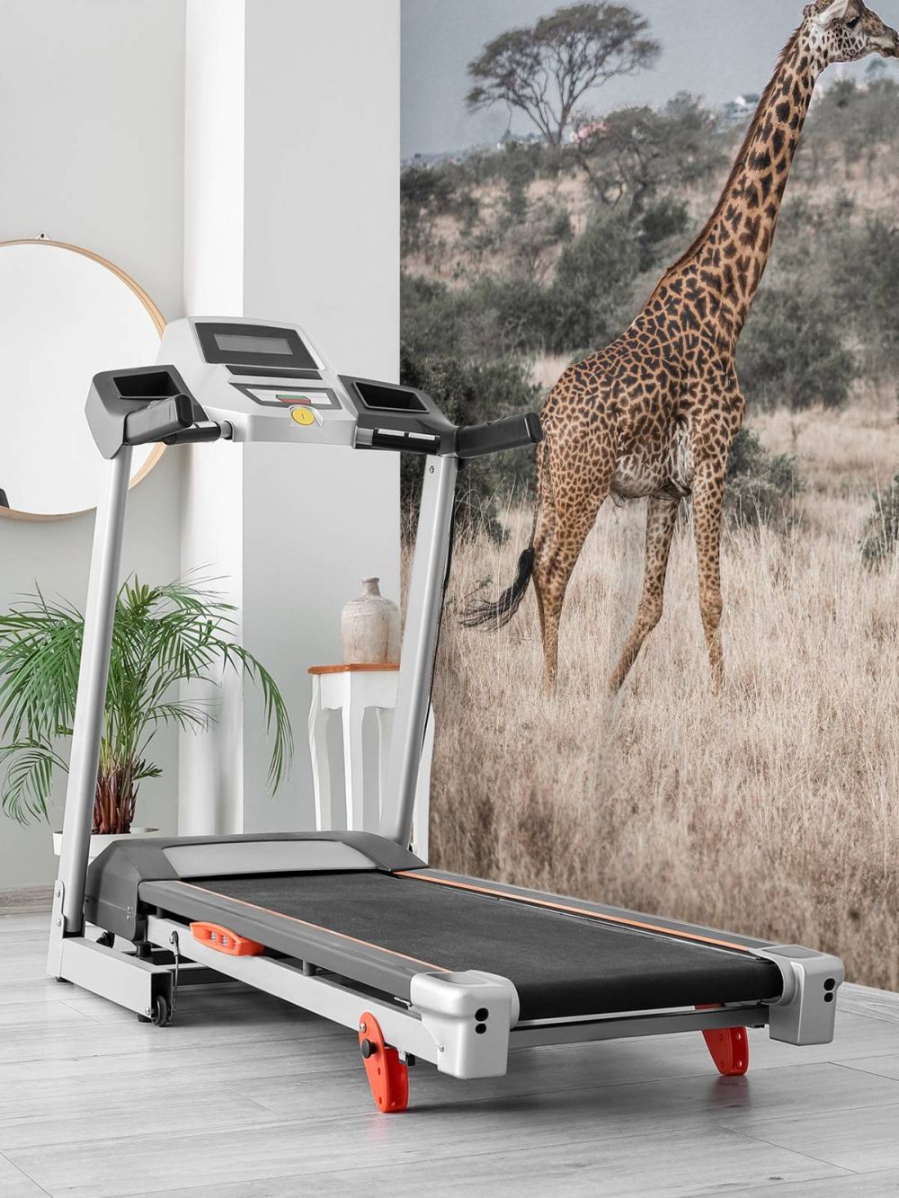 Giraffe portret
