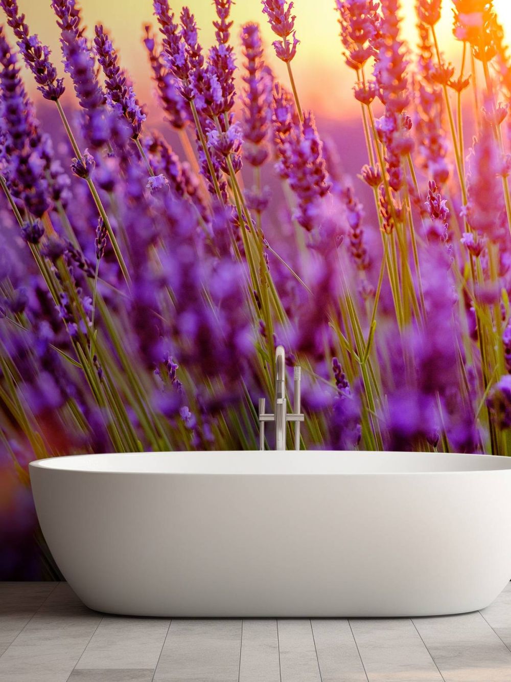 Close-up lavendel