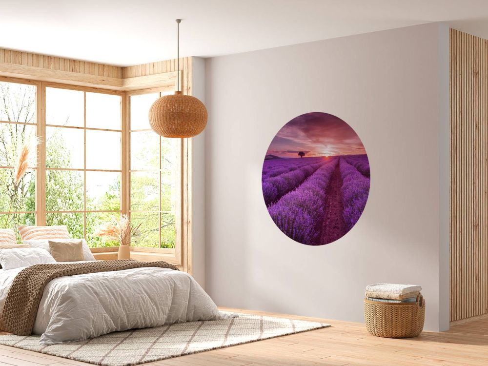 Veld met Lavendel en zon