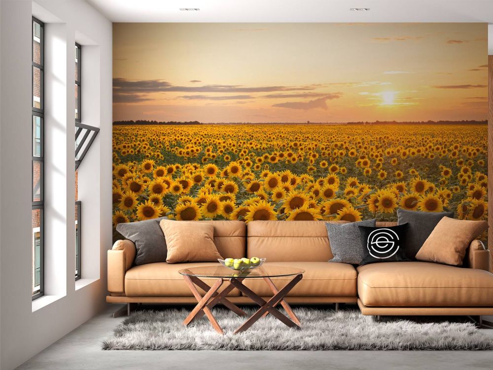 Zonnebloemen veld met zonsondergang