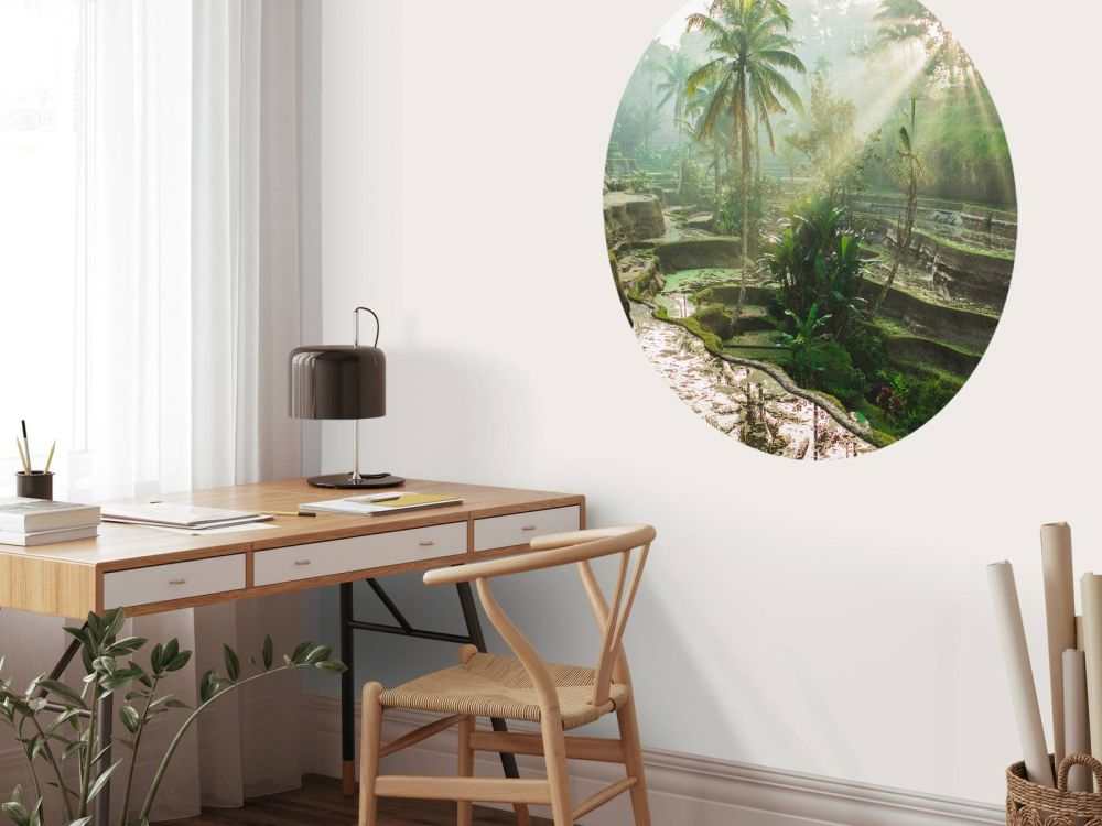Rijstvelden in de jungle