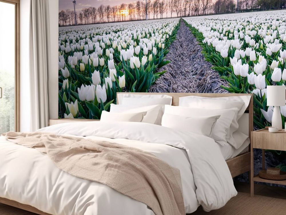 Wit tulpenveld