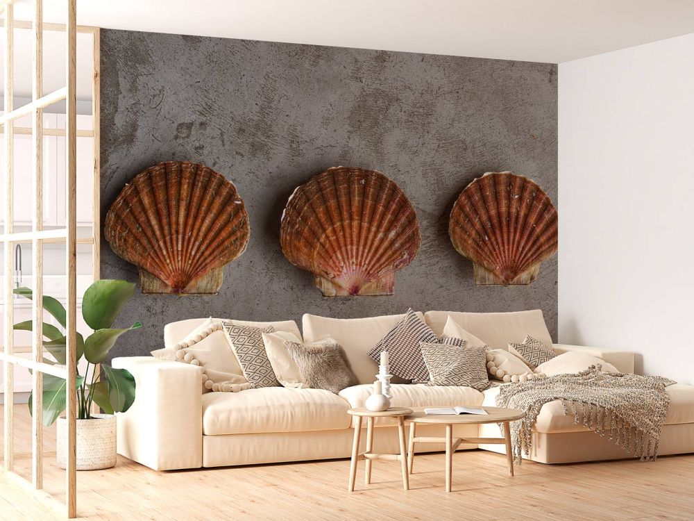 Drie schelpen