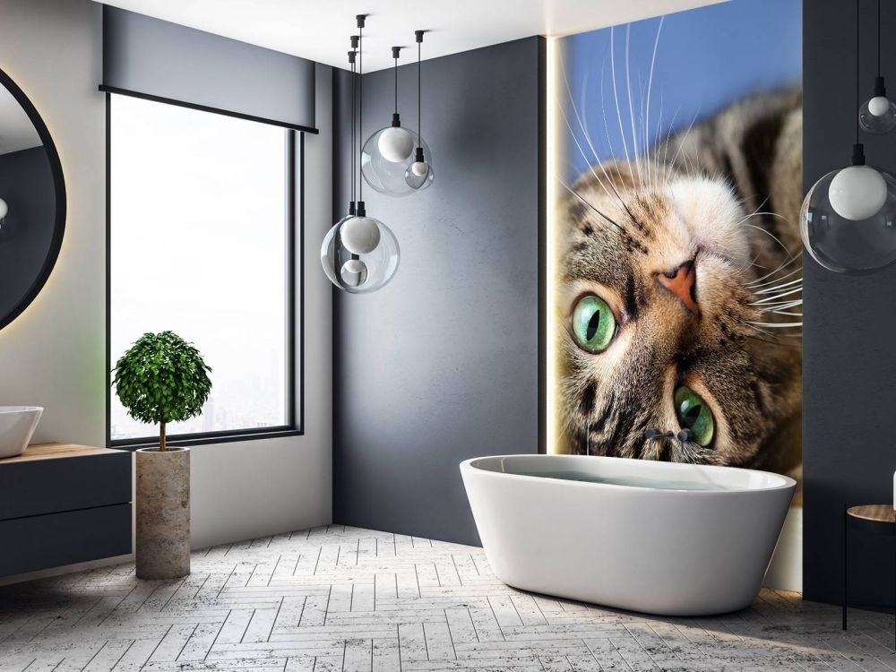 Rollende kat