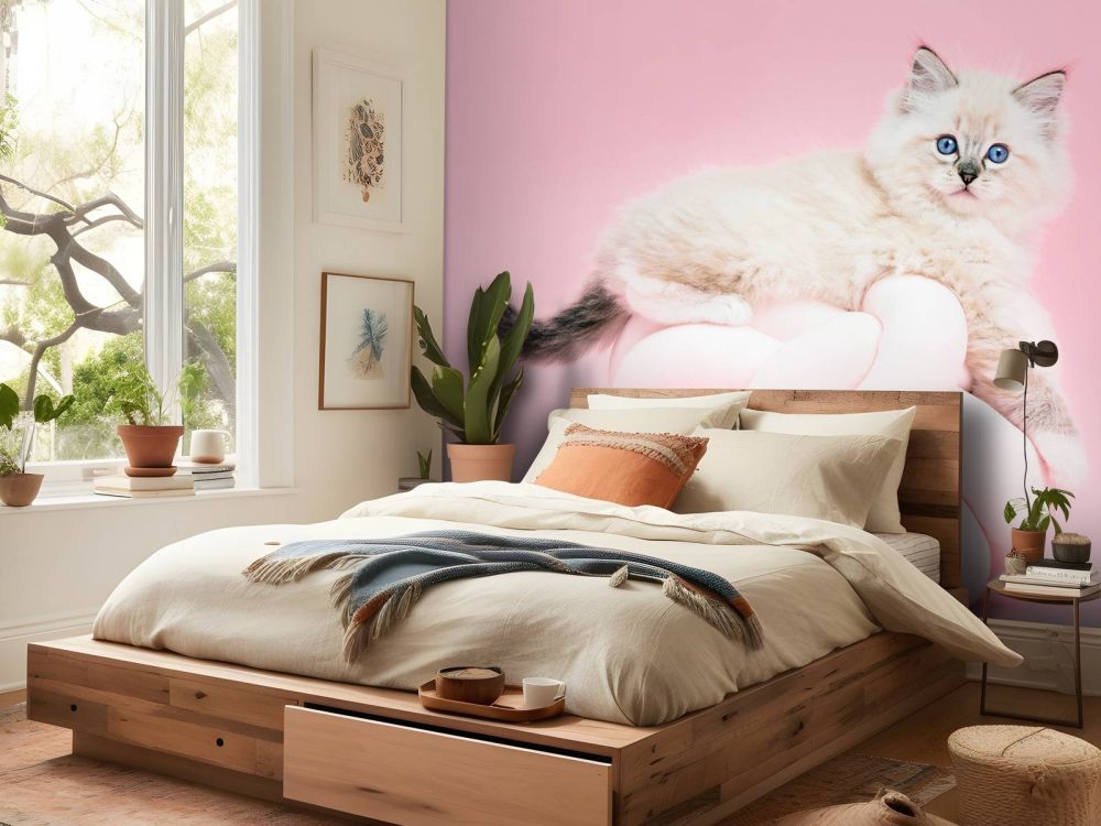 Witte poes op roze achtergrond