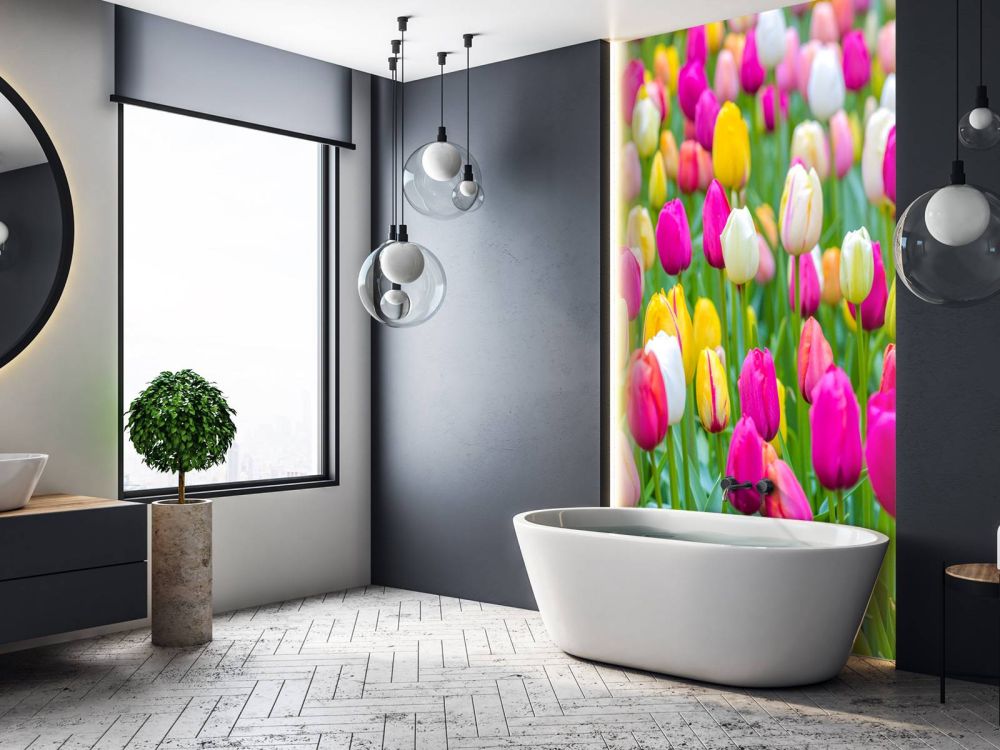 Kleurrijke tulpen in een veld