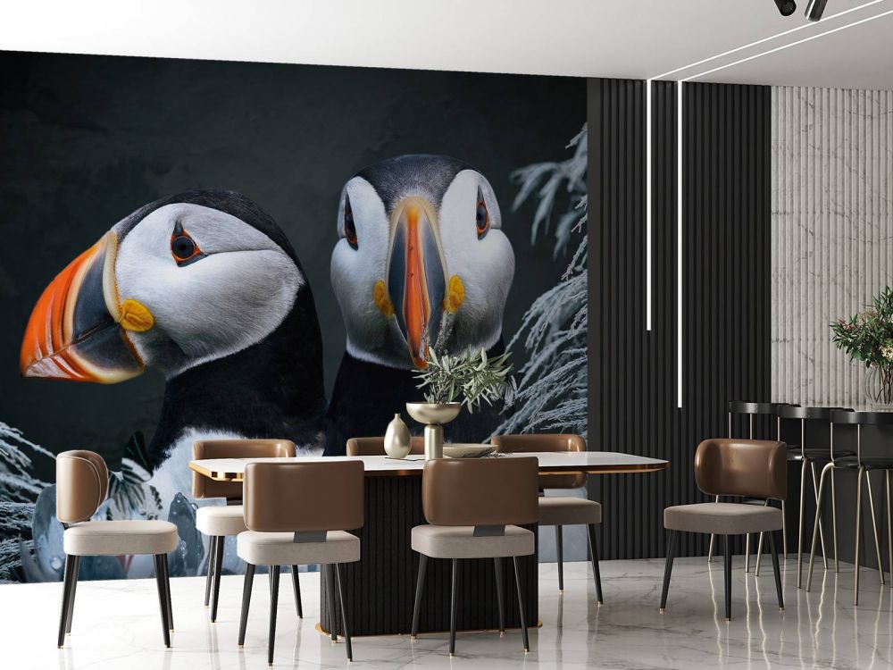 Atlantic Puffins