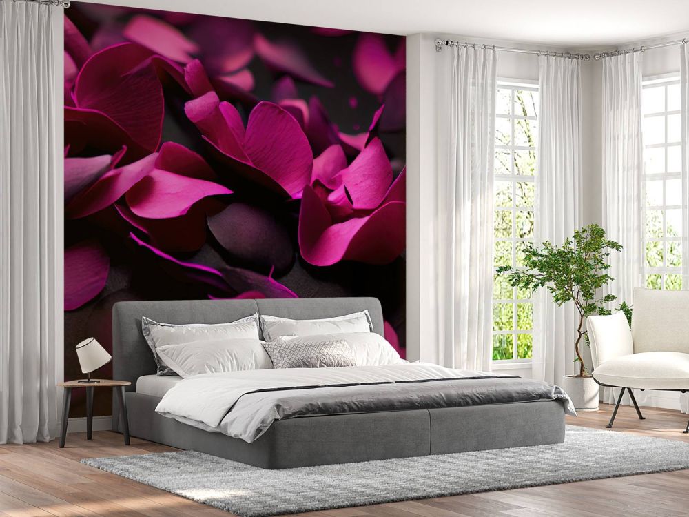 Donker roze hortensia's
