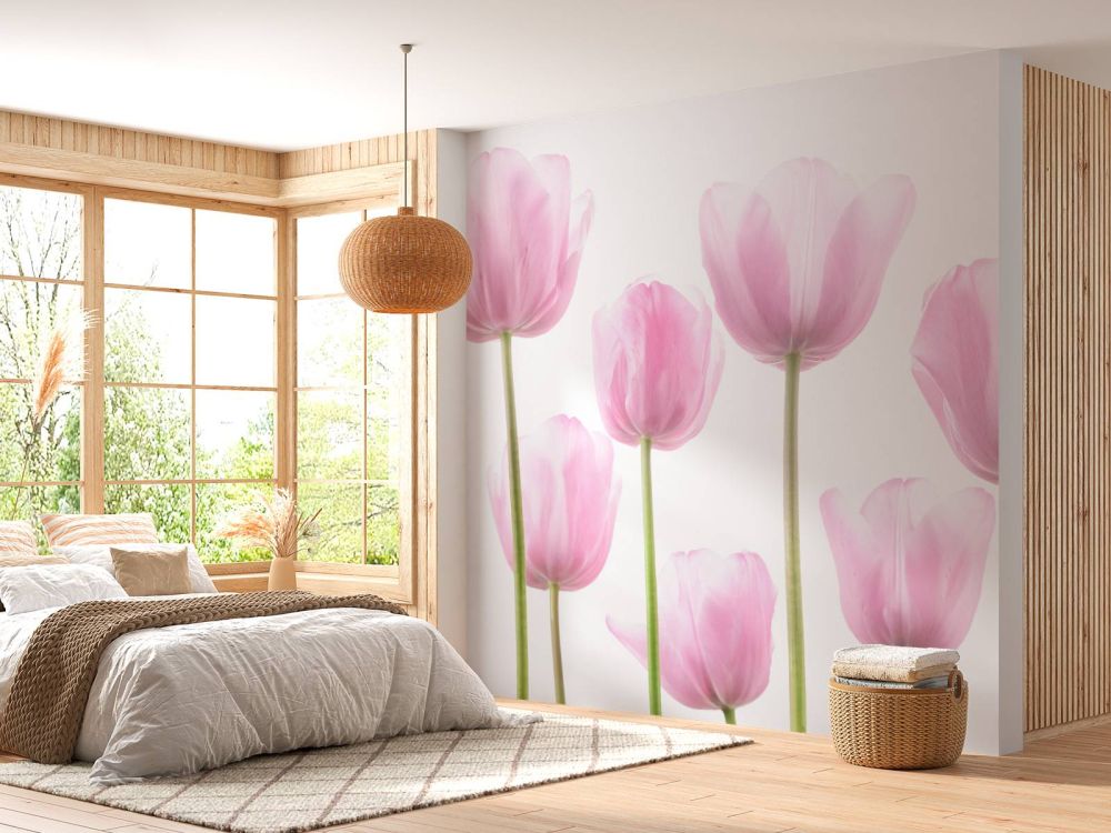 Mooie roze tulpen