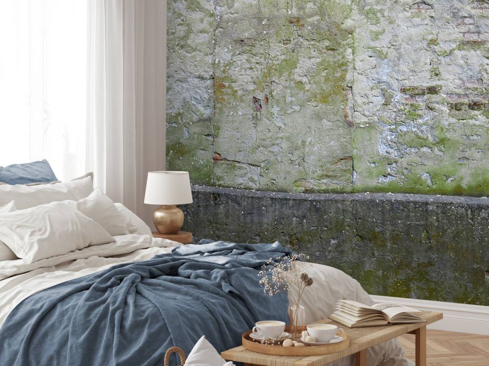 Mos op oude muur