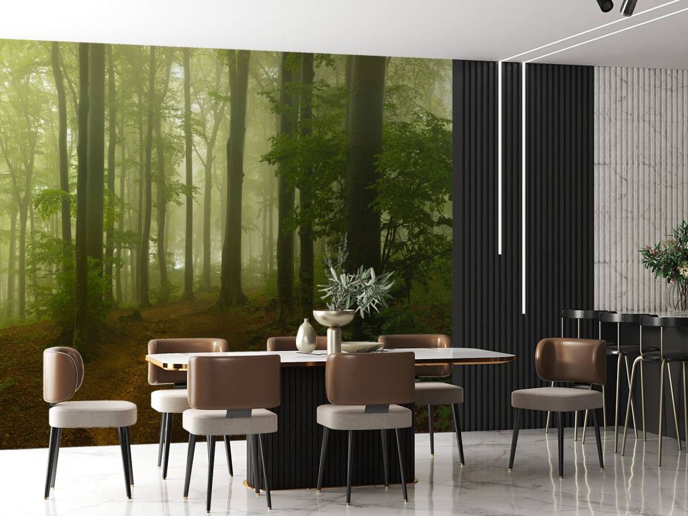 Pad door mistig groen bos