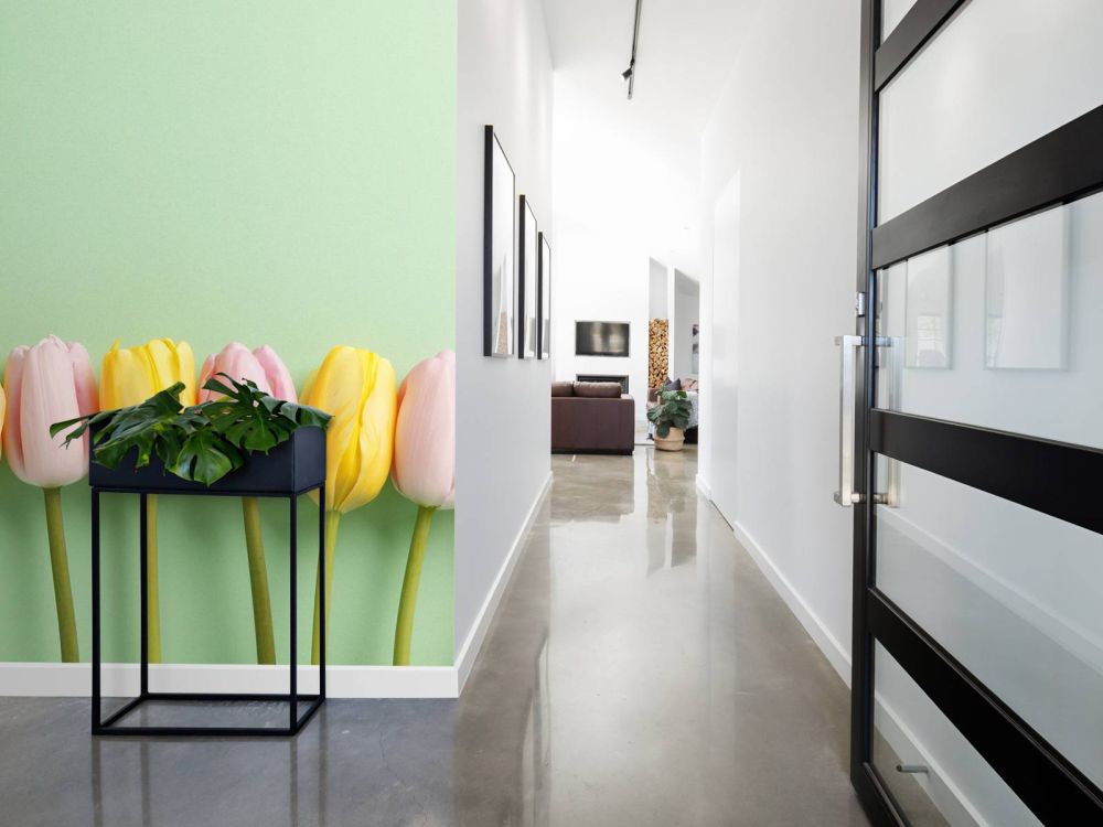 Kleine tulpen op mintgroen