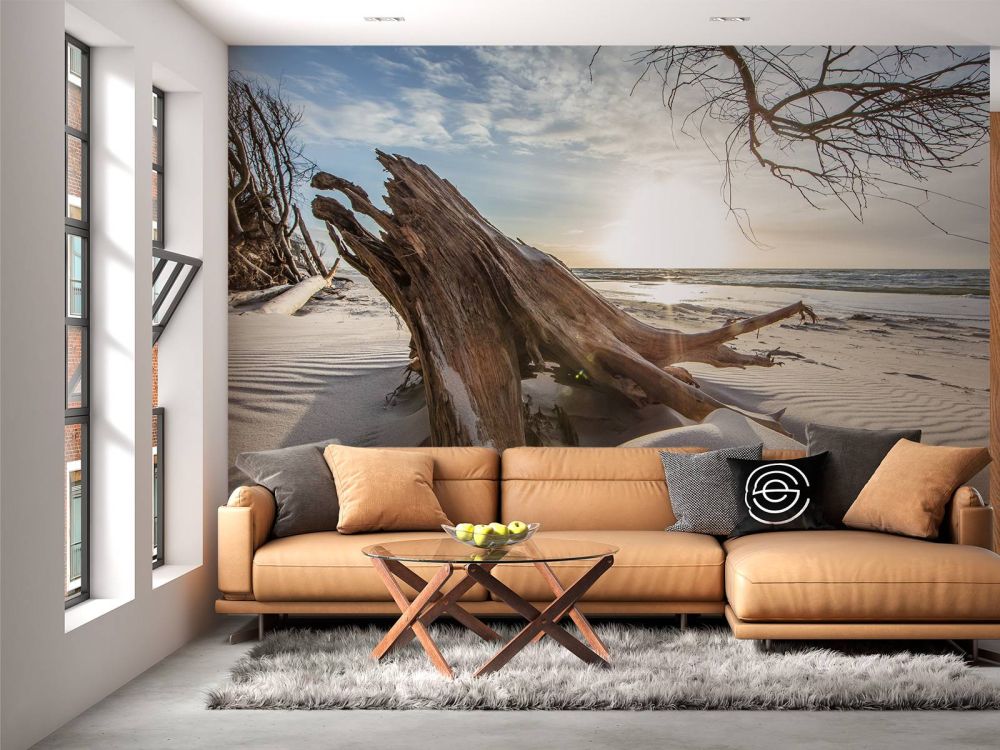Hout in het zand