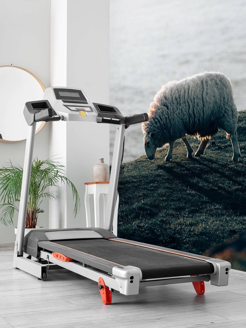 Grazend schaap