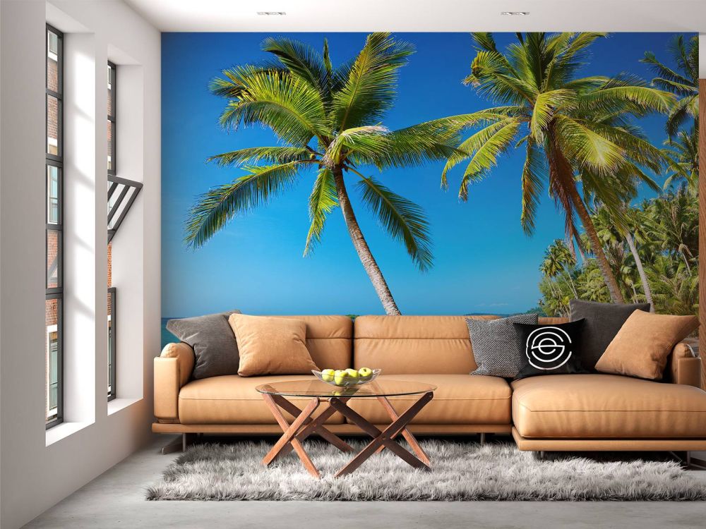 Caribbean