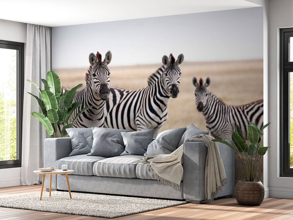 Zebra's in de natuur