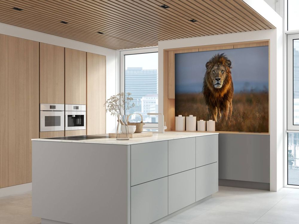 Lion Close Up
