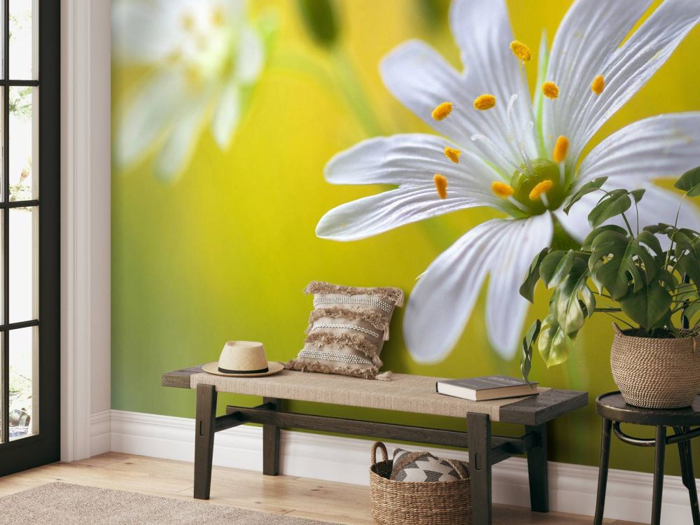 Stitchwort