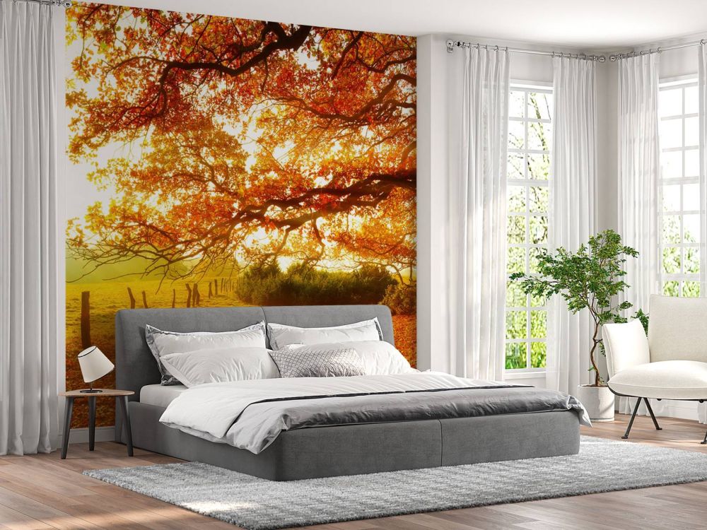 Herfstlandschap met bos en weide