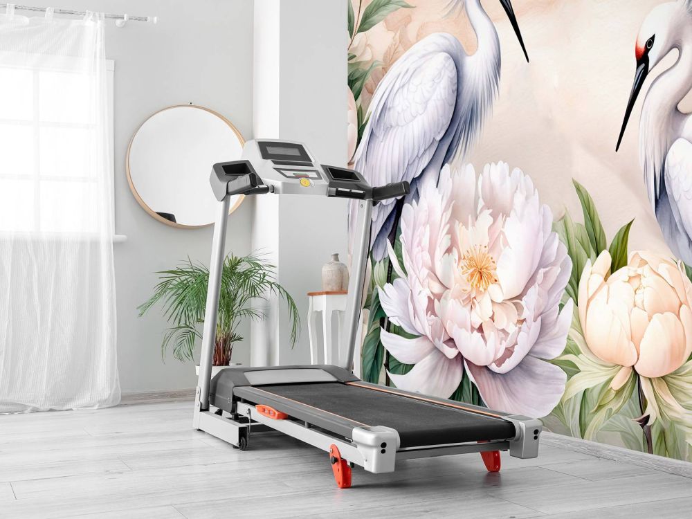 Storks Romance Orange