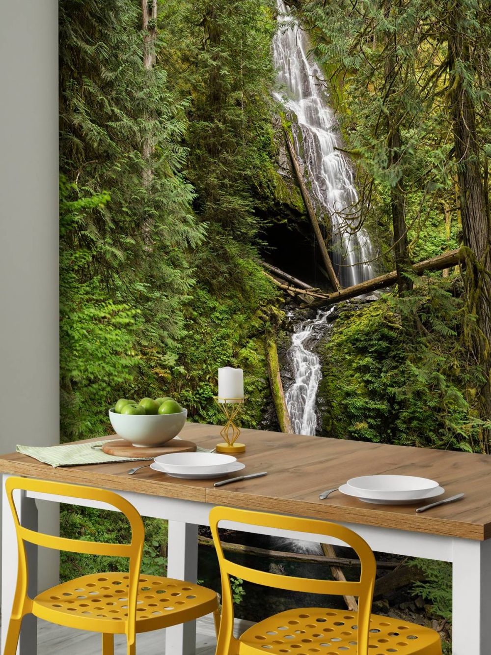 Waterval met omgevallen bomen