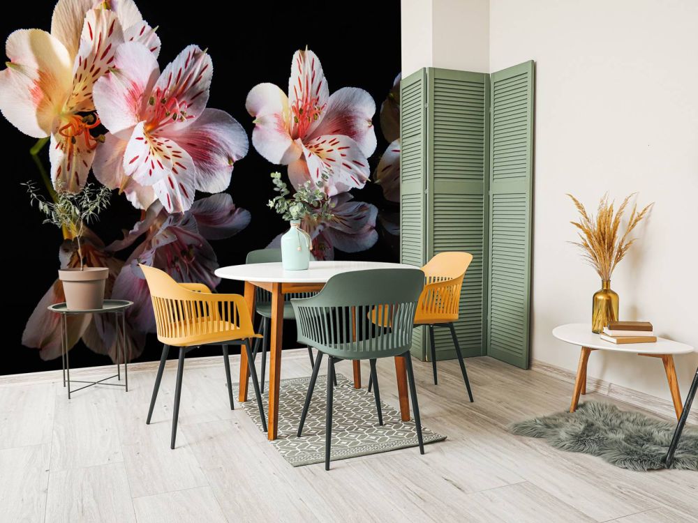 Alstroemeria bloemen met reflectie