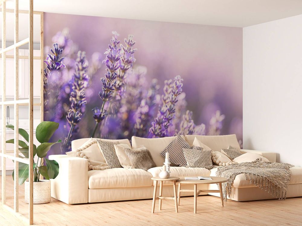 Dromerig lavendel