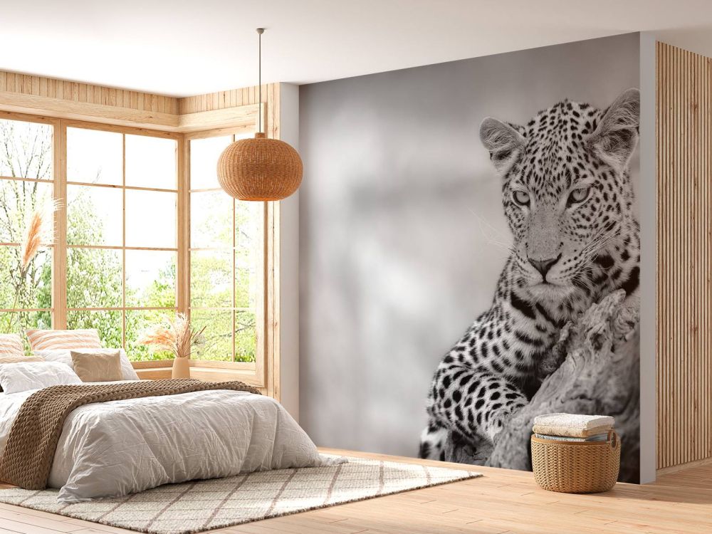 Luipaard zwart, wit
