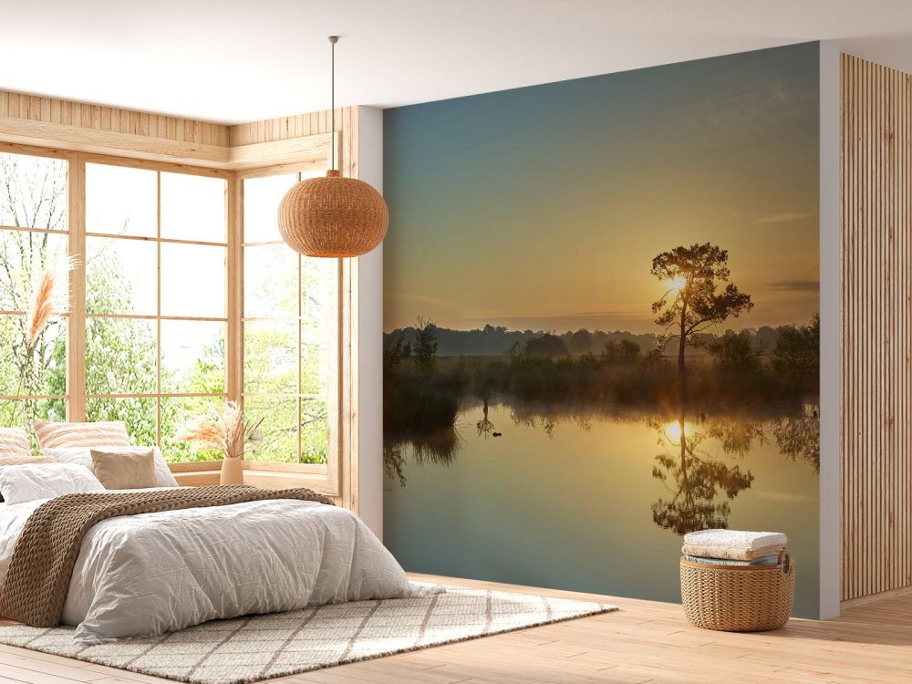 Zonsopkomst bij bosven